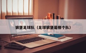 狼堡足球队(足球狼堡是哪个队)