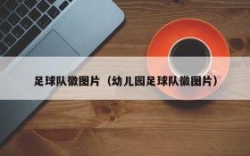 足球队徽图片(幼儿园足球队徽图片)