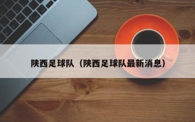 陕西足球队(陕西足球队最新消息)