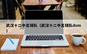 武汉十二中足球队(武汉十二中足球队dsm)