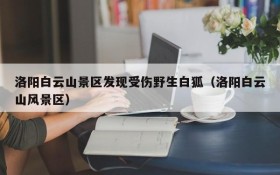 洛阳白云山景区发现受伤野生白狐(洛阳白云山风景区)
