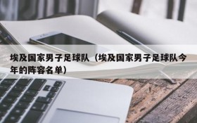 埃及国家男子足球队(埃及国家男子足球队今年的阵容名单)