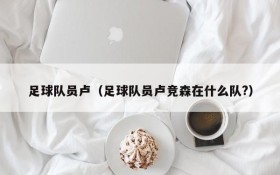 足球队员卢(足球队员卢竞森在什么队?)