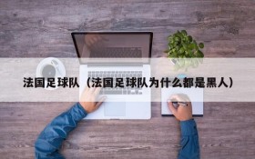 法国足球队(法国足球队为什么都是黑人)