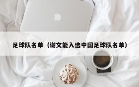 足球队名单(谢文能入选中国足球队名单)