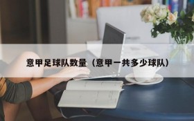 意甲足球队数量(意甲一共多少球队)