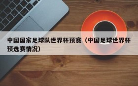 中国国家足球队世界杯预赛(中国足球世界杯预选赛情况)
