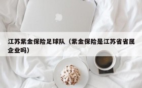 江苏紫金保险足球队(紫金保险是江苏省省属企业吗)