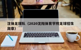 沈体足球队(2020沈阳体育学院足球招生简章)