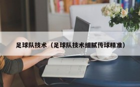 足球队技术(足球队技术细腻传球精准)