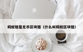 蚂蚁链是无币区块链（什么叫蚂蚁区块链）