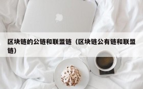 区块链的公链和联盟链（区块链公有链和联盟链）