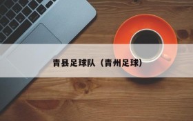 青县足球队(青州足球)
