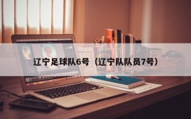 辽宁足球队6号(辽宁队队员7号)