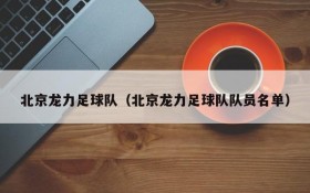 北京龙力足球队(北京龙力足球队队员名单)