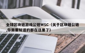全球区块链游戏公链WSC(关于区块链公链,你需要知道的都在这里了)