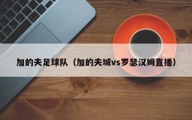 加的夫足球队(加的夫城vs罗瑟汉姆直播)