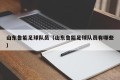 山东鲁能足球队员（山东鲁能足球队员有哪些）