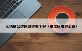 区块链公链联盟链哪个好（主流区块链公链）