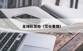 足球队艾伦(艾伦集锦)