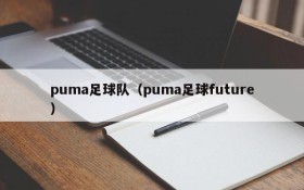 puma足球队（puma足球future）