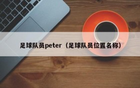 足球队员peter(足球队员位置名称)