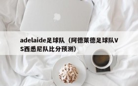 adelaide足球队(阿德莱德足球队VS西悉尼队比分预测)