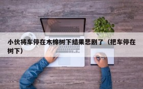 小伙将车停在木棉树下结果悲剧了(把车停在树下)