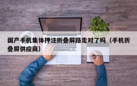 国产手机集体押注折叠屏路走对了吗(手机折叠屏供应商)