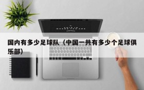 国内有多少足球队(中国一共有多少个足球俱乐部)