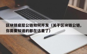 区块链底层公链如何开发(关于区块链公链,你需要知道的都在这里了)