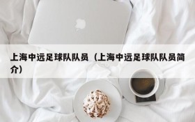 上海中远足球队队员(上海中远足球队队员简介)