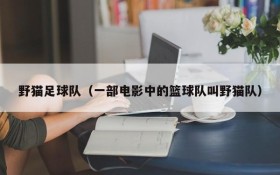 野猫足球队(一部电影中的篮球队叫野猫队)