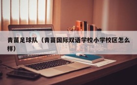 青苗足球队(青苗国际双语学校小学校区怎么样)