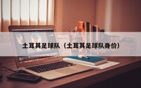 土耳其足球队(土耳其足球队身价)