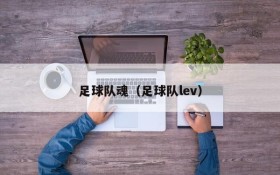 足球队魂(足球队lev)