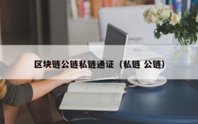 区块链公链私链通证(私链 公链)