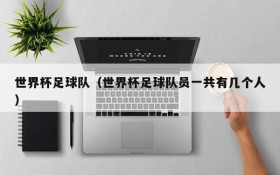 世界杯足球队(世界杯足球队员一共有几个人)