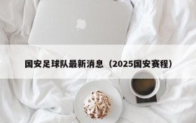 国安足球队最新消息(2025国安赛程)