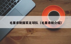 毛里求斯国家足球队(毛里求斯介绍)