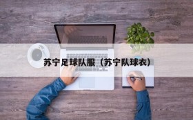 苏宁足球队服(苏宁队球衣)