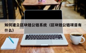 如何建立区块链公链系统(区块链公链项目有什么)