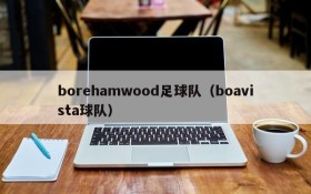 borehamwood足球队(boavista球队)