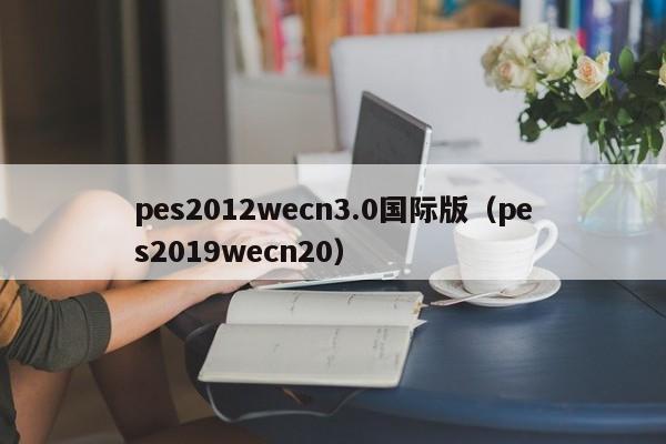 pes2012wecn3.0国际版（pes2019wecn20）