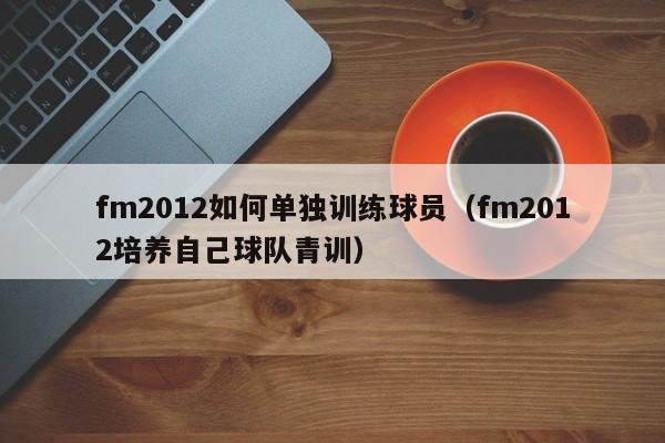 fm2012如何单独训练球员（fm2012培养自己球队青训）