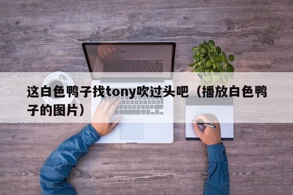 这白色鸭子找tony吹过头吧（播放白色鸭子的图片）