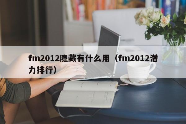 fm2012隐藏有什么用（fm2012潜力排行）