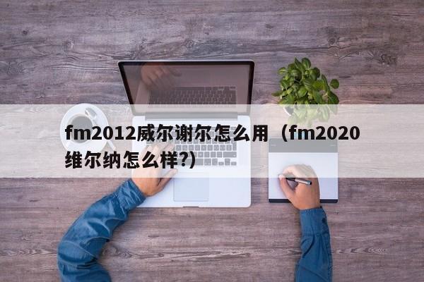 fm2012威尔谢尔怎么用（fm2020维尔纳怎么样?）