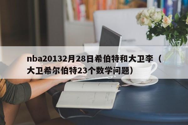 nba20132月28日希伯特和大卫李（大卫希尔伯特23个数学问题）