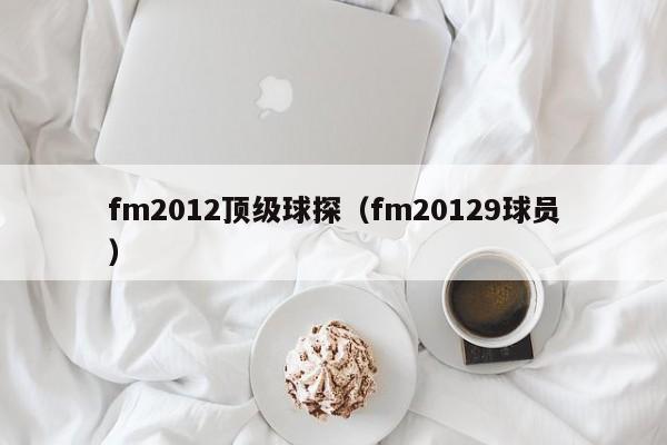 fm2012顶级球探（fm20129球员）